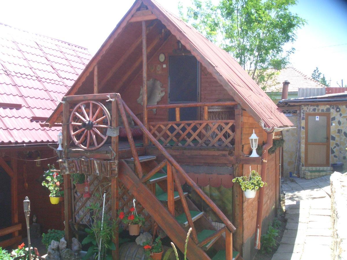 Casa Vladut Apartment Babadag Exterior foto