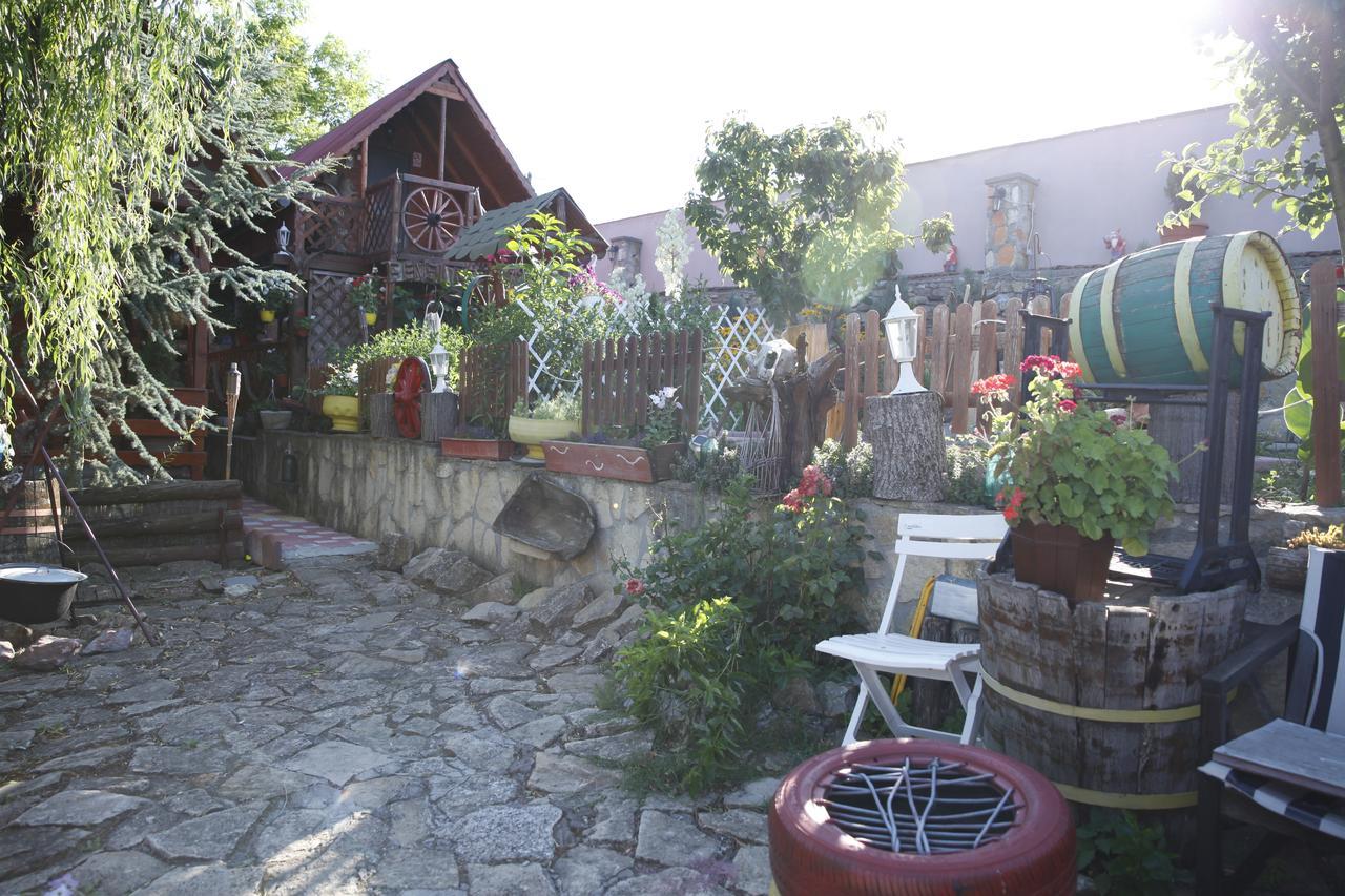 Casa Vladut Apartment Babadag Exterior foto